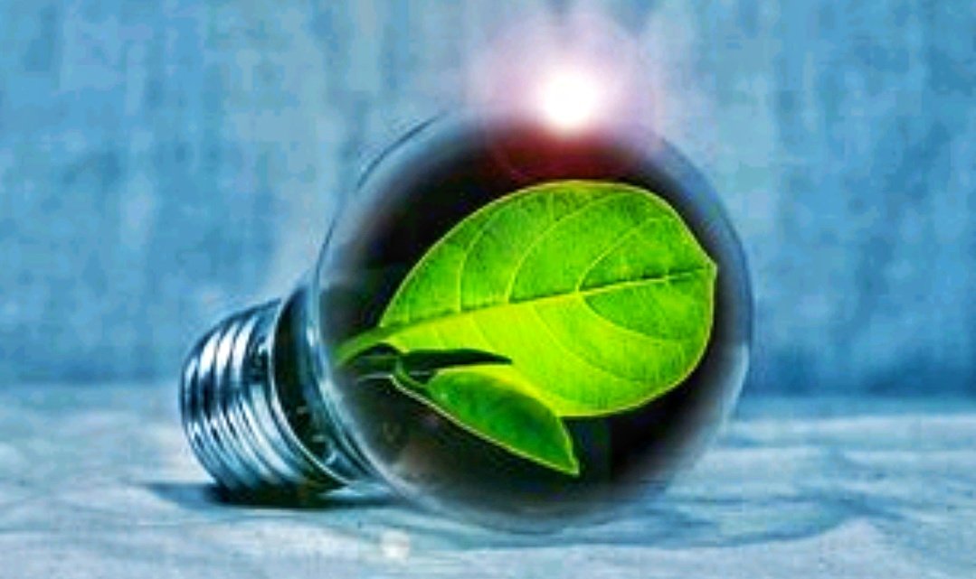 estalvia llum La Noguera institut dental Ahorra luz. Ahorro energético.